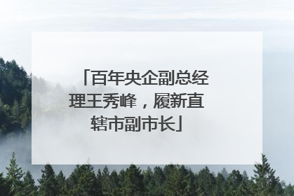 百年央企副总经理王秀峰，履新直辖市副市长