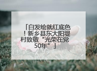 白发绘就红底色！新乡县东大阳堤村致敬“光荣在党50年”