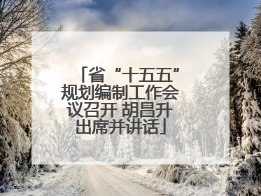省“十五五”规划编制工作会议召开 胡昌升出席并讲话