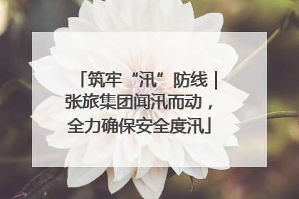 筑牢“汛”防线｜张旅集团闻汛而动，全力确保安全度汛