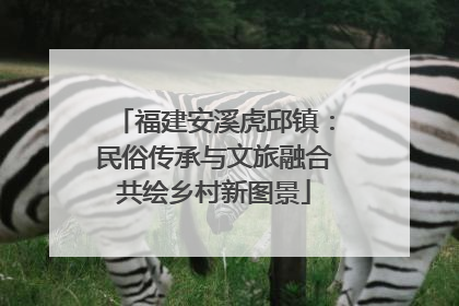 福建安溪虎邱镇：民俗传承与文旅融合共绘乡村新图景