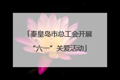 秦皇岛市总工会开展“六一”关爱活动