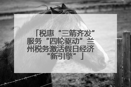 税惠“三箭齐发”服务“四轮驱动”兰州税务激活假日经济“新引擎”