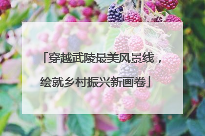 穿越武陵最美风景线，绘就乡村振兴新画卷