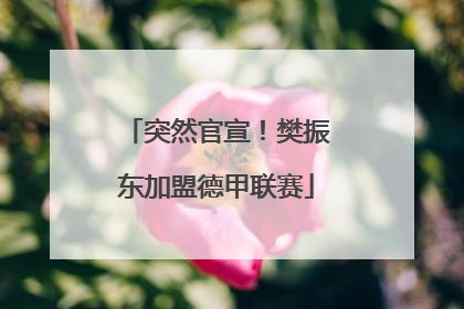 突然官宣！樊振东加盟德甲联赛
