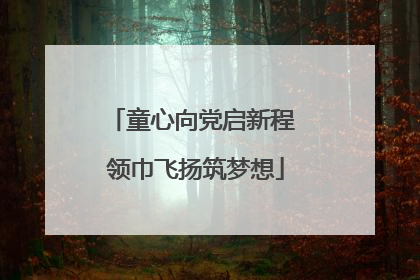 童心向党启新程 领巾飞扬筑梦想