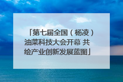 第七届全国（杨凌）油菜科技大会开幕 共绘产业创新发展蓝图