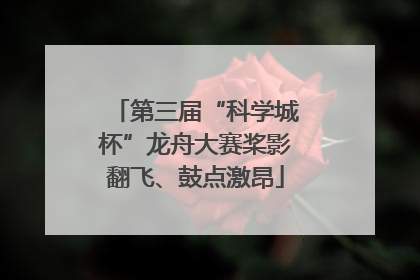 第三届“科学城杯”龙舟大赛桨影翻飞、鼓点激昂