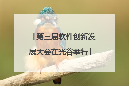 第三届软件创新发展大会在光谷举行