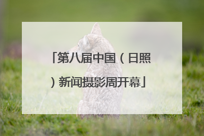 第八届中国（日照）新闻摄影周开幕