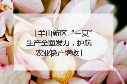 羊山新区“三夏”生产全面发力，护航农业稳产增收