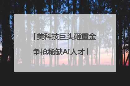 美科技巨头砸重金争抢稀缺AI人才