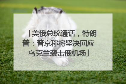 美俄总统通话，特朗普：普京称将坚决回应乌克兰袭击俄机场