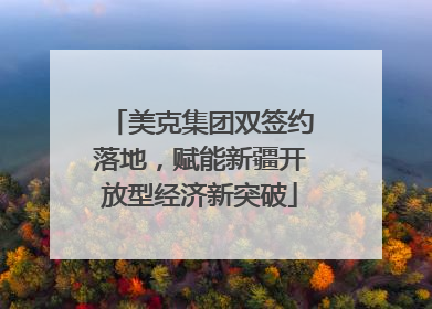 美克集团双签约落地，赋能新疆开放型经济新突破