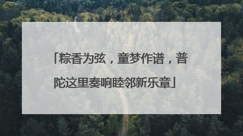 粽香为弦，童梦作谱，普陀这里奏响睦邻新乐章