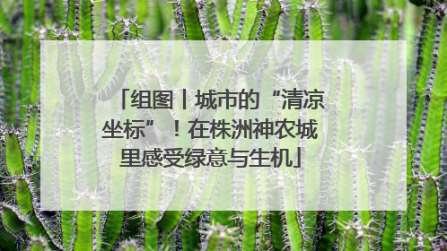 组图丨城市的“清凉坐标”！在株洲神农城里感受绿意与生机