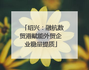 绍兴：融杭数贸港赋能外贸企业稳量提质