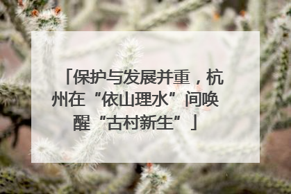 保护与发展并重，杭州在“依山理水”间唤醒“古村新生”