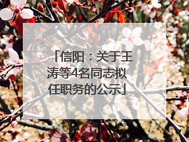 信阳：关于王涛等4名同志拟任职务的公示