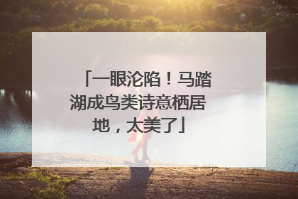 一眼沦陷！马踏湖成鸟类诗意栖居地，太美了
