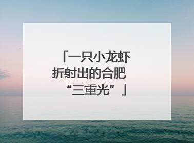 一只小龙虾折射出的合肥“三重光”