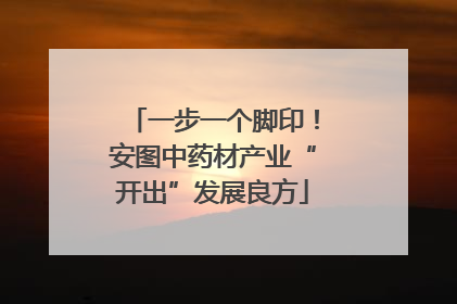 一步一个脚印！安图中药材产业“开出”发展良方