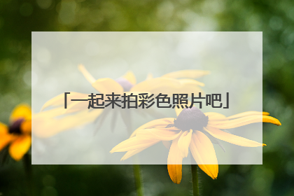 一起来拍彩色照片吧