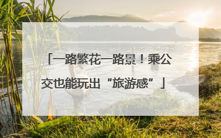 一路繁花一路景!乘公交也能玩出“旅游感”