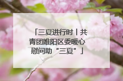 三夏进行时丨共青团睢阳区委暖心慰问助“三夏”