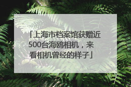 上海市档案馆获赠近500台海鸥相机，来看相机曾经的样子