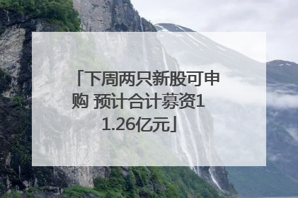下周两只新股可申购 预计合计募资11.26亿元