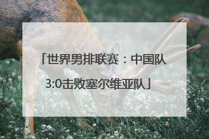 世界男排联赛：中国队3:0击败塞尔维亚队