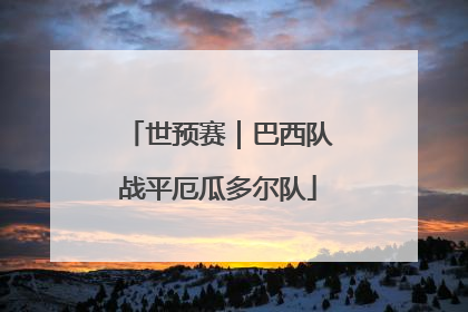 世预赛｜巴西队战平厄瓜多尔队