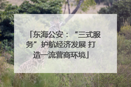 东海公安：“三式服务”护航经济发展 打造一流营商环境