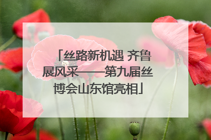 丝路新机遇 齐鲁展风采——第九届丝博会山东馆亮相