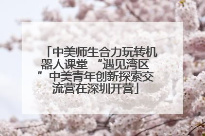 中美师生合力玩转机器人课堂 “遇见湾区”中美青年创新探索交流营在深圳开营