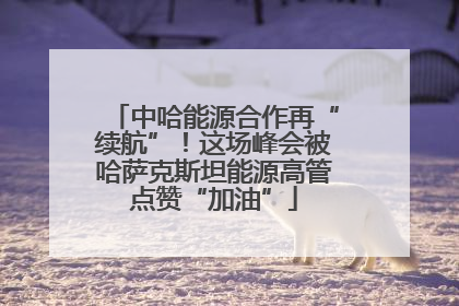 中哈能源合作再“续航”！这场峰会被哈萨克斯坦能源高管点赞“加油”