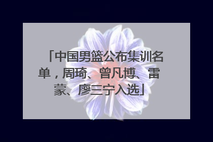 中国男篮公布集训名单，周琦、曾凡博、雷蒙、廖三宁入选