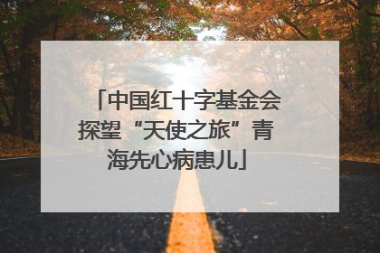 中国红十字基金会探望“天使之旅”青海先心病患儿