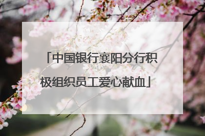 中国银行襄阳分行积极组织员工爱心献血