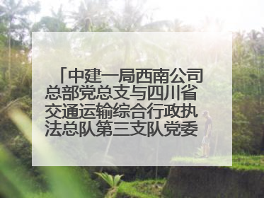 中建一局西南公司总部党总支与四川省交通运输综合行政执法总队第三支队党委、万源市草坝镇莲花院村党支部开展党建联建