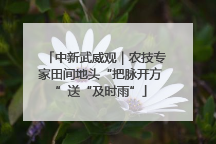 中新武威观｜农技专家田间地头“把脉开方”送“及时雨”