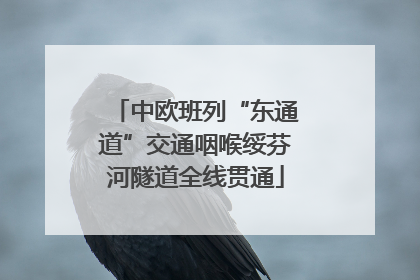中欧班列“东通道”交通咽喉绥芬河隧道全线贯通