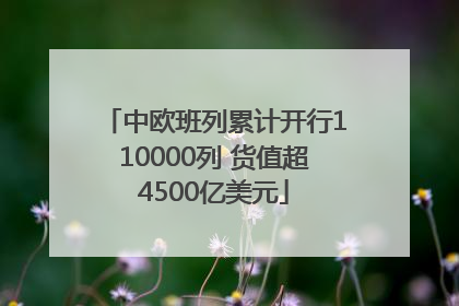 中欧班列累计开行110000列 货值超4500亿美元
