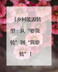 乡村能源转型：从“要我转”到“我要转”