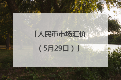 人民币市场汇价（5月29日）