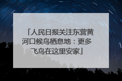 人民日报关注东营黄河口候鸟栖息地：更多飞鸟在这里安家