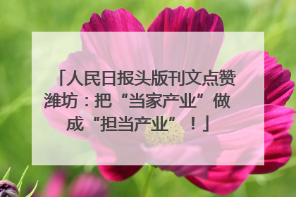 人民日报头版刊文点赞潍坊：把“当家产业”做成“担当产业”！