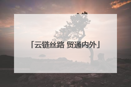 云链丝路 贸通内外