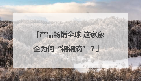 产品畅销全球 这家豫企为何“钢钢滴”？